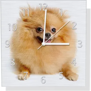Wallario Design Wanduhr Lustiger niedlicher Spitz aus Aluverbund, Größe 30 x 30 cm - Weiß