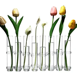 Dinyeo Blumenvase mit Scharnier, klein, Glas, faltbar, Reagenzglas, Anzuchtstation für Pflanzen, 8 Stück