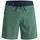 Boardshorts L