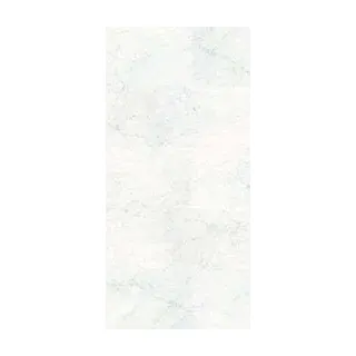Duschrückwand MARMOR 125 x 250 x 0.3 cm