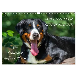 Appenzeller Sennenhund - Ein Schweizer auf 4 Pfoten (Wandkalender 2026 DIN A3 quer), CALVENDO Monatskalender: Der Appenzeller Sennenhund in wunderschönen Bildern vorgestellt (CALVENDO Tiere)