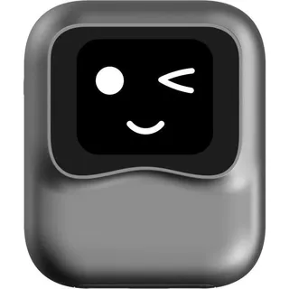 OTTOCAST Pcs50 und Ki-assistent Ottoaibox Nano - Black