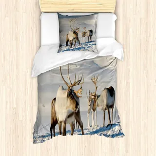 ABAKUHAUS Winter Bettbezug Set, Natürliche Umwelt Tromso Norwegen Antler Schnee Wildes Leben Foto Muster, 135 x 200 cm + 80 x 80 cm, Brown Ivory Blau