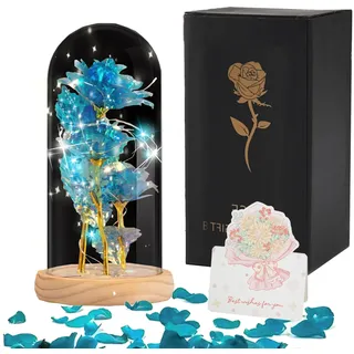 Yootiko Ewige Rose Geschenke für Frauen,Ewige Rose Im Glas Mit Led Licht,Schöne Und Das Biest Rosen Glaskuppel,Glitzer Rosen Infinity Strauß Deko,Jahrestag Weihnachts Geschenke Sie Mama Frau Freundin