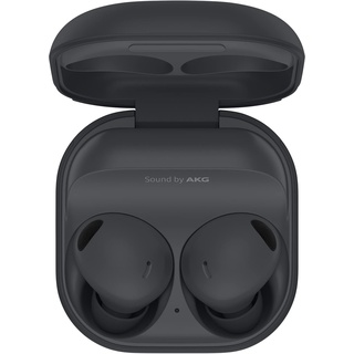 Galaxy Buds2 Pro graphite