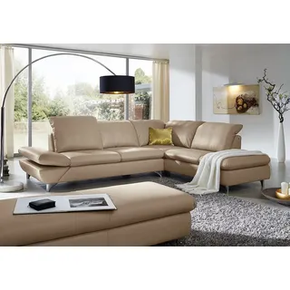 W.SCHILLIG Ecksofa "Taoo, elegant und zeitlos, bequem, L-Form, Breite 296cm" mit Sitziefenverstellung & Kopfteilverstellung, stone z59