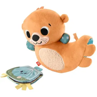 Fisher-Price Sensimals Otter Multicolor