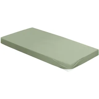 IRISETTE Spannbettlaken Jersey 90 x 200 - 140 x 200 - 180 x 200 cm grün