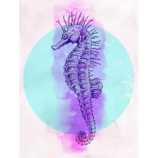 KOMAR Wandbild Sea Horse Circle 30 x 40 cm