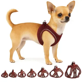 Hundegeschirr - hundegeschirr kleine Hunde - XXS - Flamingo Harness Step&Go Bento Aubergine