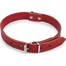 Beeztees BZ LEDERHALSBAND ROT 52X20 (Hund, Allgemein), Halsband + Leine