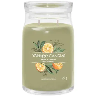 Yankee Candle Sage & Citrus große Kerze 567 g grün