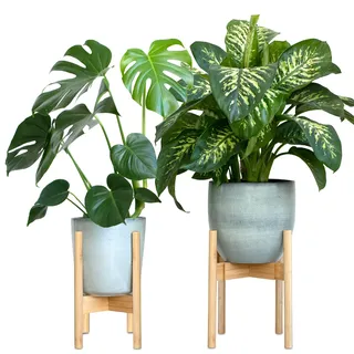 Gadgy Gadgy® Pflanzenständer Holz - 2er Set Bambus Blumenständer Holz - Verstellbare Blumenhocker Holz für Töpfe bis Ø 30,5 cm - Blumentopf Ständer, H:35,5cm - Plant Stand mit Beinen