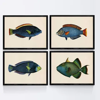 Set von 4 Platten mit Vintage bunter Fische grün blau Ton-Effekt. Aoni. 4 verschiedene Fisch Zusammensetzung im A4-Format, Jahrgang Hintergrund Altpapier Poster Papier 250 gr hohe Qualität. Frameless