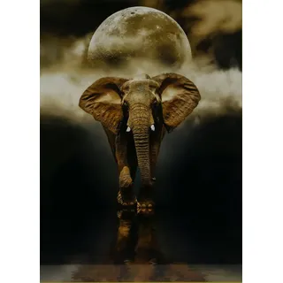 CLEMENTONI Puzzle 1000 T Puzzle HQC Der Elefant