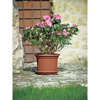 Euro3Plast Geo Ø 35 x 26 cm terracotta