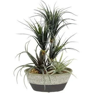 I.GE.A. Kunstpflanze Dracena/Tillandsia im Übertopf aus Keramik,