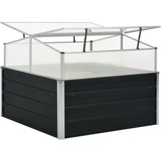 vidaXL Gewächshaus Anthrazit 100 x 100 x 77 cm Schwarz
