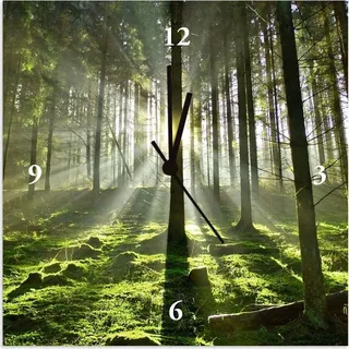 ARTland Wanduhr auf Alu Quarzuhr - schwarzer Zeiger Wald im Gegenlicht Größe: 30x30 cm - Grün