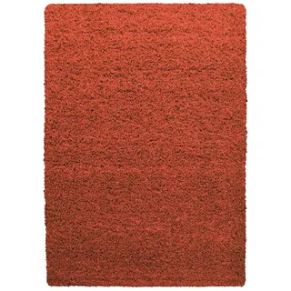 Ayyildiz Life Shaggy 1500 Hochflorteppich 200 x 290 cm Terracotta