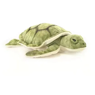 Mayer Brands Schildkröte 0 0 STK - Beige