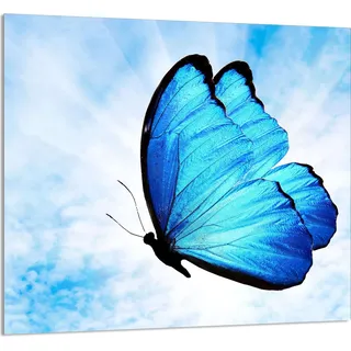 GLASPLATTE FÜR KÜCHE 65x60 Schmetterling