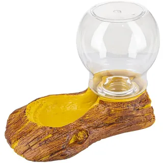 Reptiles-Planet Wald Trinken Wasser Quelle