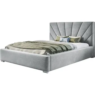 Polsterbett Denver mit Kopfteil, 200x200 cm, Doppelbett mit Bettkasten und Lattenrost aus Metal, Velourstoff, Farbe: Grau - Grau