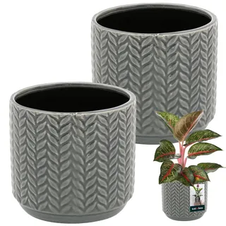 KOTARBAU® Blumentopf Grau aus Keramik - Rund ⌀ 12 cm, Höhe 12,5 cm, Glasiert 2 St. - Großer Blumenübertopf, Pflanztopf, Pflanzkübel
