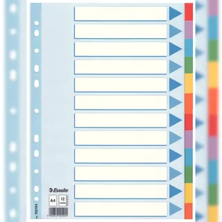 Esselte Esselte, Ordner Zubehör, Register Karton farbig