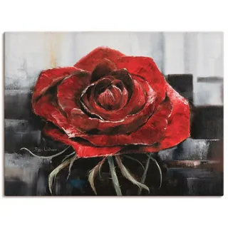Artland Leinwandbild »Blühende rote Rose« Blumen 1 Stk. tlg. als Leinwandbild, Poster, Wandaufkleber in verschied. Größen, rot