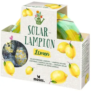moses. Blatt & Blüte Solarlampion – Stimmungsvolle Solarleuchte im Design, mit warmweißes LED-Licht, automatisch aufladbar, wetterfest (IP44), für Garten, Balkon & Terrasse inklusive Geschenkbox