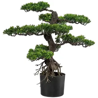 Creativ green »Bonsai«, grün,