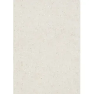 Erismann Vliestapete SAVANNA 0,53 m x 10 m 0,00 kg beige2 1041814