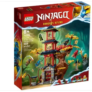 LEGO Ninjago Tempel der Drachenpower 71795