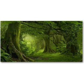 Tulup® Küchenrückwand Spritzschutz aus Glas -100x50 -Spritzschutz auf gehärtetes GlasLandschaften Tropischer Dschungel