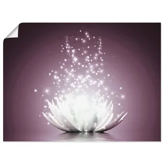Artland Wandbild "Magie der Lotus-Blume" Blumen 1 Stk. tlg. als Leinwandbild, Poster in verschied. Größen, farbe bild(er): lila