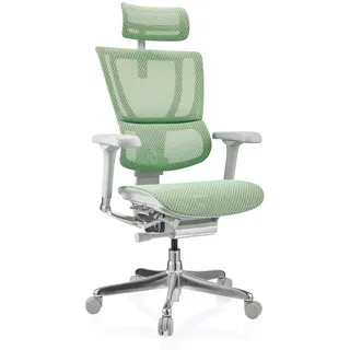 hjh OFFICE Bürostuhl ergonomisch ERGOHUMAN Slim G GEN2 Originales Design, 24h Einsatz, Drehstuhl mit Flexibler Lordosenstütze, Netz Grün