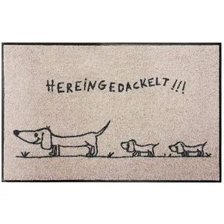 SALONLOEWE Fußmatte waschbar 50x75 cm Hereingedackelt Family beige mit Motiv Dackel Familie Schmutzfangmatte Fußabtreter Sauberlaufmatte Türvorleger Hunde