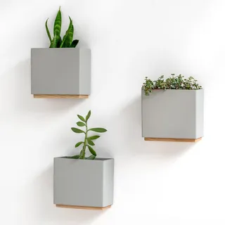 Kazai. Wandvasen -Alma- | Moderne Hängende Blumentöpfe für die Wand | 3-teiliges Übertopf-Set aus hochwertigem Resin für Zimmerpflanzen, Kunstpflanzen, Blumen u.m. | Grau