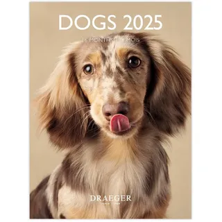 Draeger Paris – Kleiner Wandkalender 14 x 18 cm 2025 – September 2024 bis Dezember 2025 – 7 Sprachen – September 2024 bis Dezember 2025 – 12 Fotos verfügbar – Hunde – Organisation Ihrer Tage