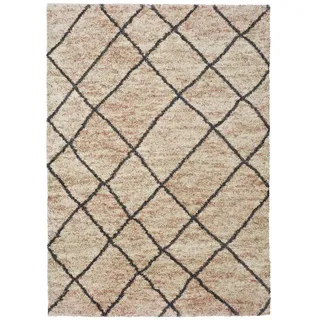 ECCOX - Hochflorteppich aus Polypropylen mit Jute-Unterseite, weicher und strapazierfähiger Teppich, für Eingang, Wohnzimmer, Esszimmer, Schlafzimmer, Ankleidezimmer, Beige (160 x 230 cm)