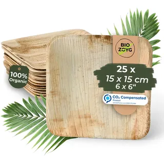 BIOZOYG Einwegteller 25 Stück 15x15 cm Palmblatt-Teller - Einweggeschirr kompostierbar - hochwertige Alternative für Bambus Teller und Pappteller - Partygeschirr