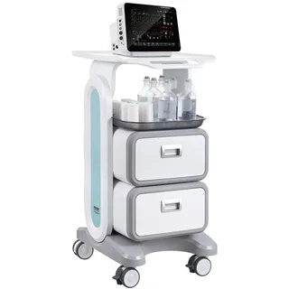 Vevor SYSTCECKFBS498TJSV0 Laborflasche