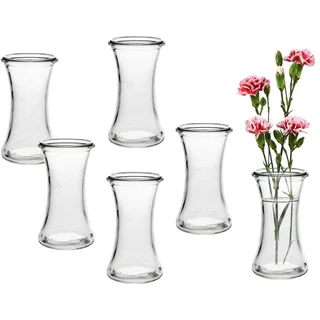 6 Stück Runde Mini Vasen Typ200 Glasfläschchen kleine Dekoflaschen Flasche Väschen Vase Glasflaschen Blumenvase (6 Stück)