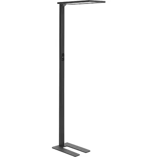 Beliani Orion 2078540 Schwarz