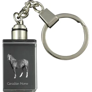 Kanadisches Pferd - Wanduhr mit Pferd, Uhr mit Druck für das Regal, personalisierte Hausdekoration der Marke Art-Dog