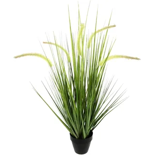 Flair Flower Künstliches Fuchsschwanzgras im Topf Gras Kunstpflanze Kunstgras Grünpflanzen Dekogras Grasbüschel Ziergras Solitärgras Deko Grasarrangement Borstenhirse Panicoideae Süßgräser Setaria