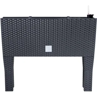 Prosperplast Blumenkasten 60 x 25 x 46 cm Anthrazit