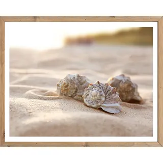 Bönninghoff Bild mit Rahmen "Wandbild gerahmt MUSCHELN AM STRAND 40x50 cm – Maritime Wanddeko Natur" Küste  Landschaft  Meer  Natur  Strand 1 Stk. tlg. mit dekorativem Rahmen, farbe rahmen: artisan, farbe bild(er): weiß, beige, braun